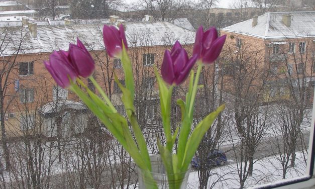 <span class="entry-title-primary">Télapó</span> <span class="entry-subtitle">Komjáthy Jenő verse</span>