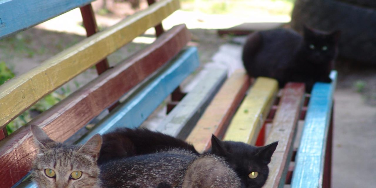 <span class="entry-title-primary">Győztes.hu</span> <span class="entry-subtitle">Bátai Tibor verse</span>