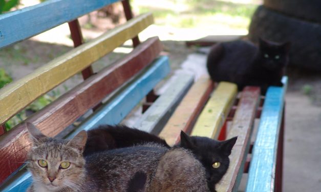 <span class="entry-title-primary">Győztes.hu</span> <span class="entry-subtitle">Bátai Tibor verse</span>