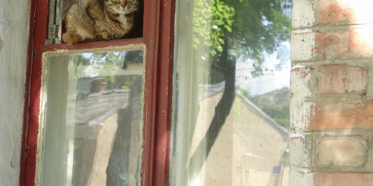 <span class="entry-title-primary">kérdés</span> <span class="entry-subtitle">Bátai Tibor verse</span>