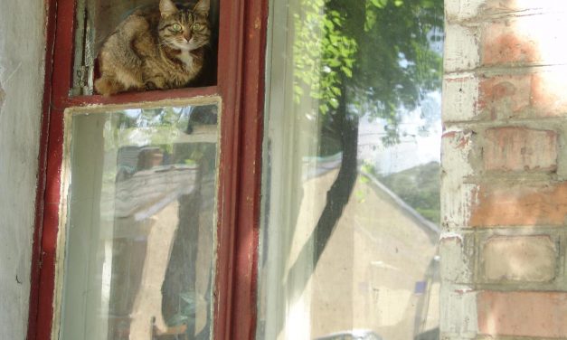 <span class="entry-title-primary">kérdés</span> <span class="entry-subtitle">Bátai Tibor verse</span>