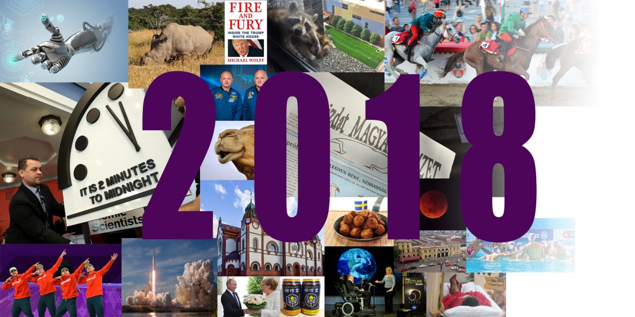 <span class="entry-title-primary">Milyen évünk volt 2018-ban? (3. rész)</span> <span class="entry-subtitle">Küzdelmes, kemény, kegyetlen, kacagtató</span>