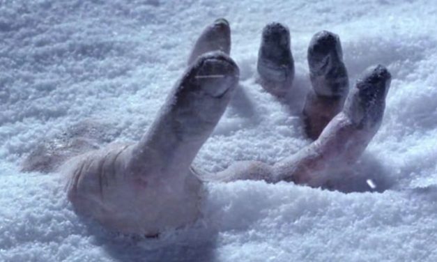 Újabb áldozata van a fagyoknak