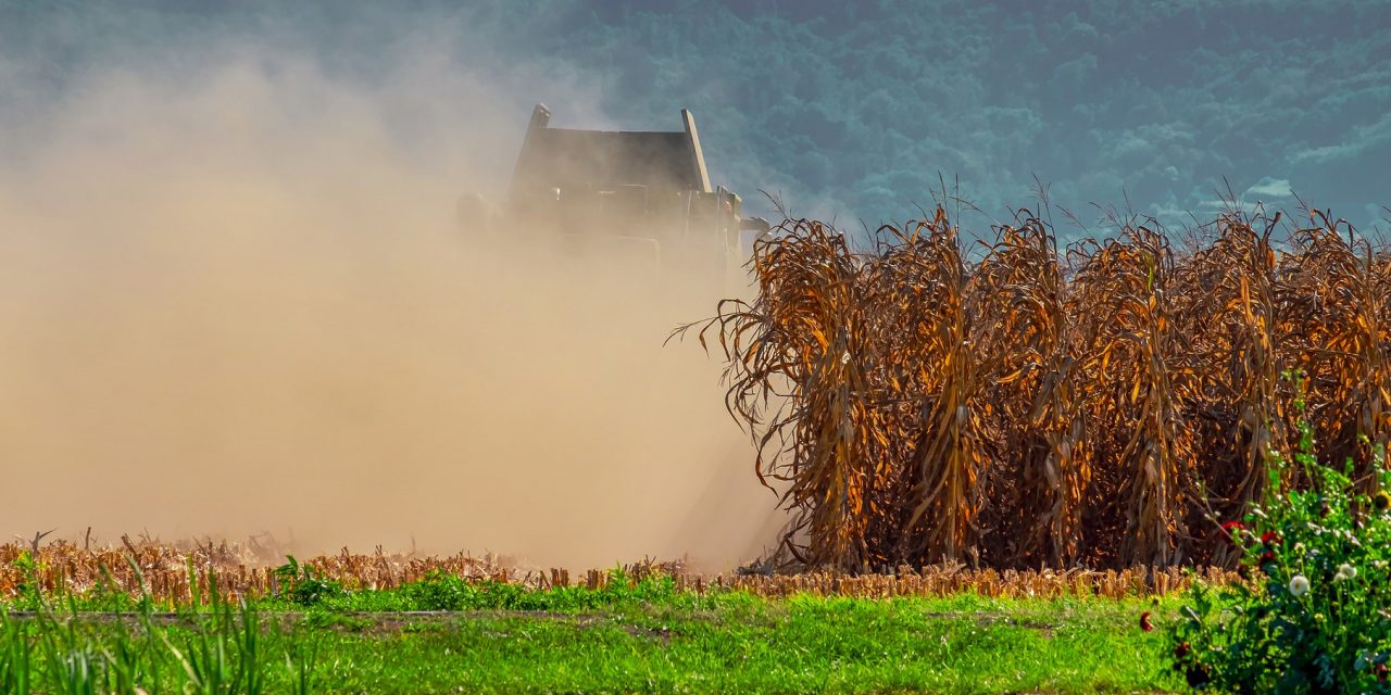 <span class="entry-title-primary">Pásztornak adja át az aláírt petíciót a Vajdasági Agráregyesületek Szövetsége</span> <span class="entry-subtitle">Azt remélik, a tartományi parlament elnöke továbbítja a kérést a szerb kormány irányába</span>