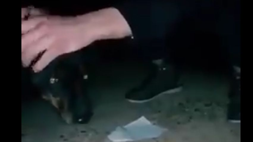 Horror Obrenovacon: Két fiatal brutálisan lemészárolt egy kutyát