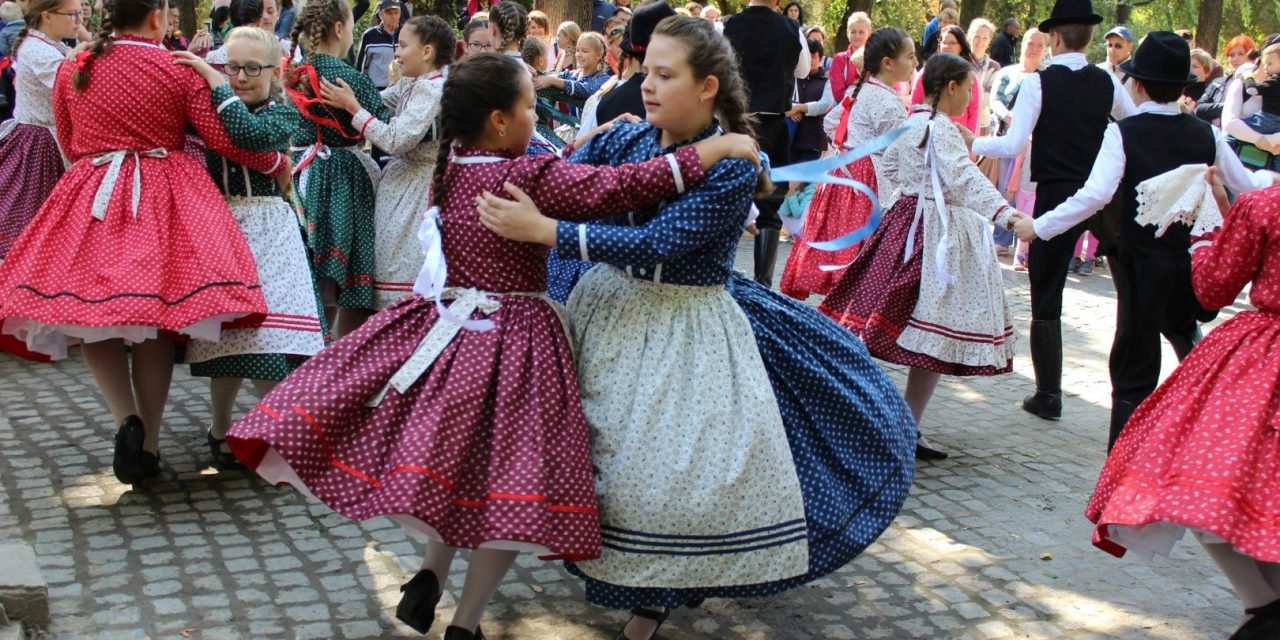 <span class="entry-title-primary">Délvidéki hagyományőrzők</span> <span class="entry-subtitle">Visszatekintés a Hálózat éves munkájára</span>