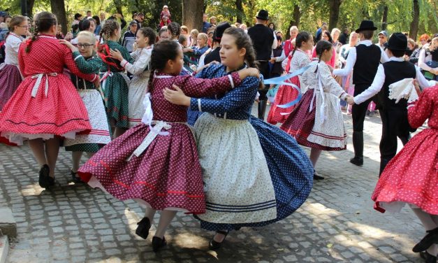 <span class="entry-title-primary">Délvidéki hagyományőrzők</span> <span class="entry-subtitle">Visszatekintés a Hálózat éves munkájára</span>