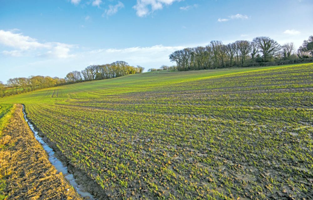 Vízlecsapolási illeték: Mégis kérhetik a polgárok a betekintést a számlaegyenlegükbe