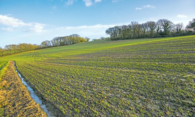 Vízlecsapolási illeték: Mégis kérhetik a polgárok a betekintést a számlaegyenlegükbe