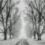 Mutatjuk mikor eshet egy kis hó