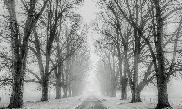 Mutatjuk mikor eshet egy kis hó