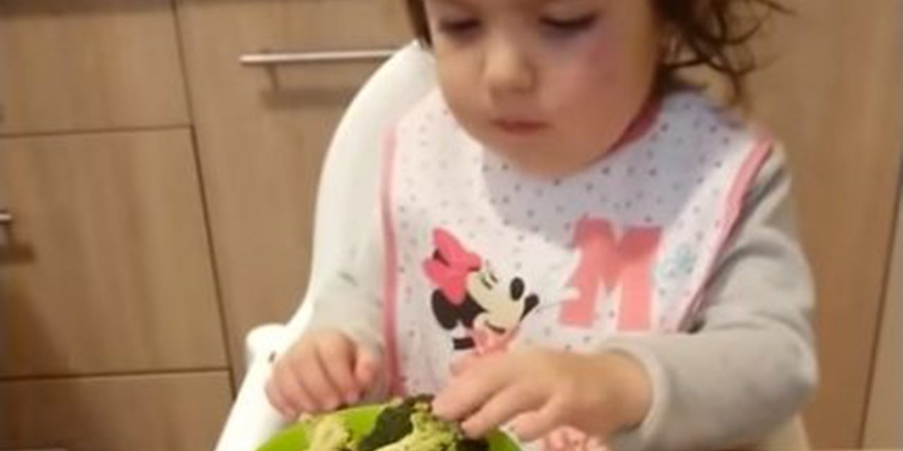 Brokkolival a világhírnév felé