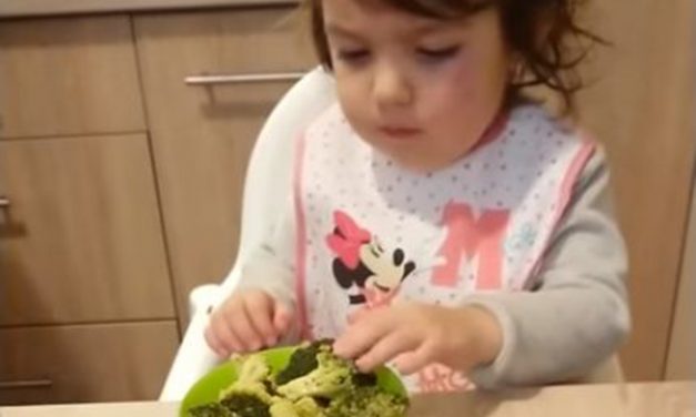 Brokkolival a világhírnév felé