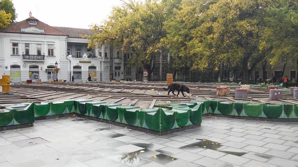 <span class="entry-title-primary">Szabadka: Megszavazták a jövő évi költségvetést</span> <span class="entry-subtitle">Felújítják a zöld szökőkutat</span>