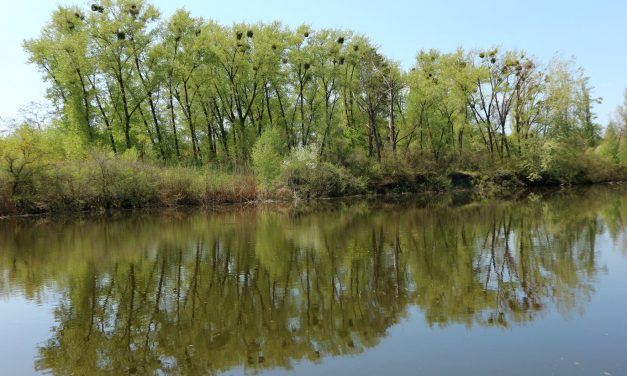 <span class="entry-title-primary">csukott szemmel</span> <span class="entry-subtitle">Bátai Tibor verse</span>