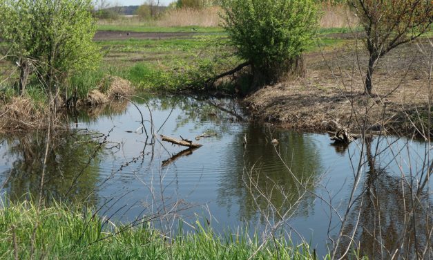 <span class="entry-title-primary">az erőszak</span> <span class="entry-subtitle">Bartha György verse</span>