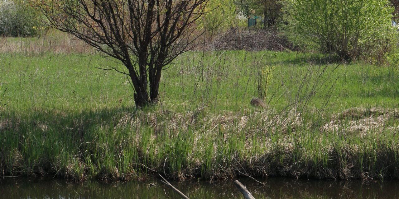 <span class="entry-title-primary">pihenő</span> <span class="entry-subtitle">Bartha György verse</span>