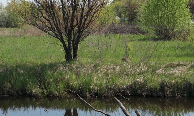 <span class="entry-title-primary">pihenő</span> <span class="entry-subtitle">Bartha György verse</span>