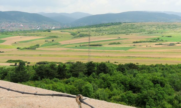 Eltűnt férfi holttestére bukkantak Rigómezőn