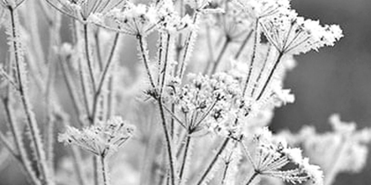 <span class="entry-title-primary">Fénykép, nagy háttérrel</span> <span class="entry-subtitle">Csoóri Sándor verse</span>