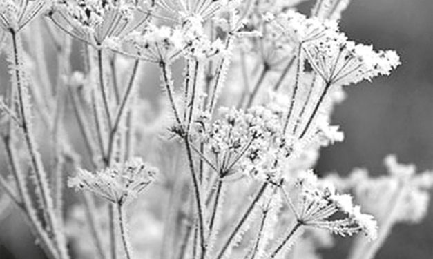 <span class="entry-title-primary">Fénykép, nagy háttérrel</span> <span class="entry-subtitle">Csoóri Sándor verse</span>