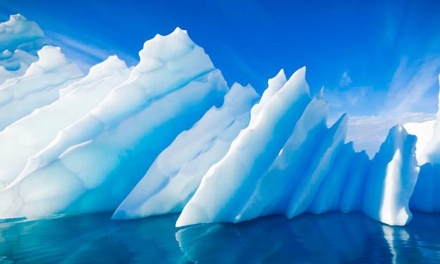 Az Antarktiszon is kimutatható a világvégét hozó baktérium nyoma