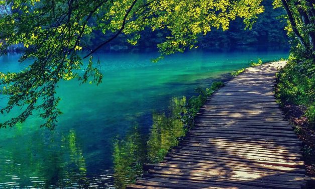 Tönkretették a turisták a Bledi-tó vizét