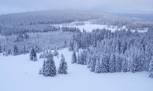 Sűrű havazás van Csehországban, sok ezer háztartás maradt áram nélkül