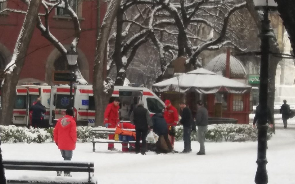 Törnek a csontok Szabadkán