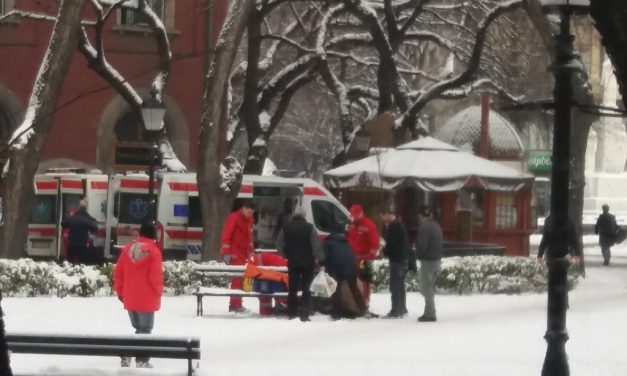 Törnek a csontok Szabadkán