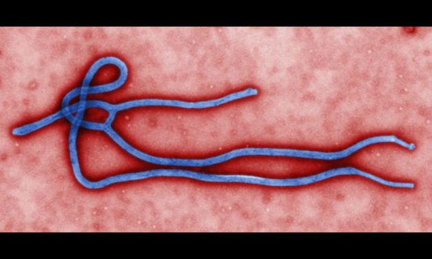 Ebolagyanús beteget ápolnak egy svéd kórházban