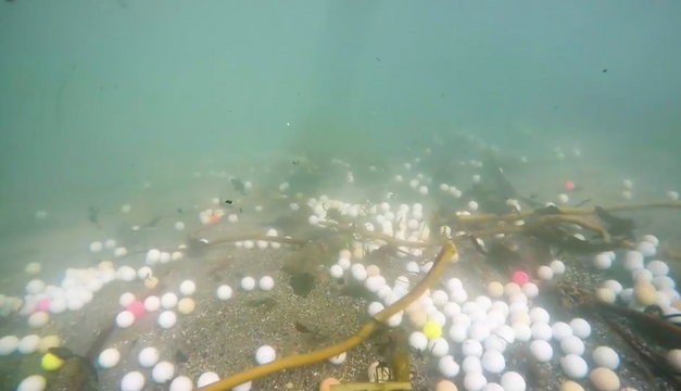 2,5 tonnányi golflabdát halásztak ki a tengerből Kaliforniánál