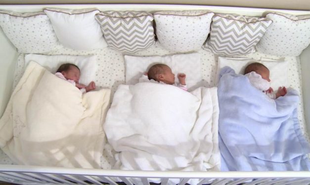 Fél évre elegendő pelenkát kaptak a kelebiai hármasikrek