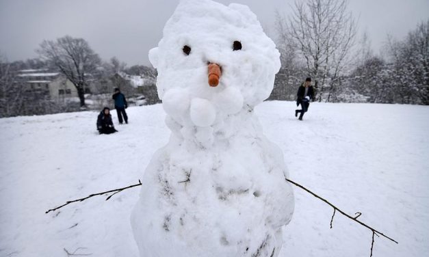 Gázolt a vonat, órákig keresték a tetemet