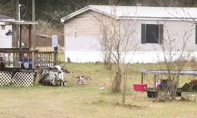 Florida: Három gyerek meghalt, mert bennragadtak egy mélyhűtőben