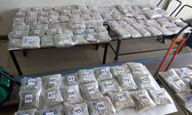 100 kilogramm marihuánát foglaltak le Horgosnál