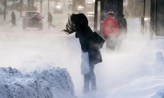 Káosz Bánátban: Kamionokat borított fel a viharos szél (Videóval)
