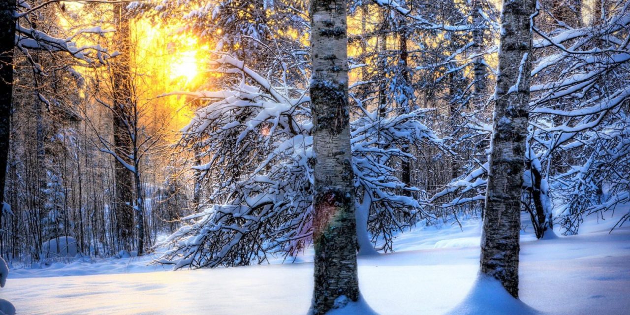 A következő napokban tovább melegszik az idő
