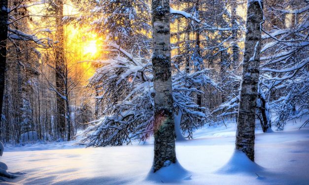 A következő napokban tovább melegszik az idő