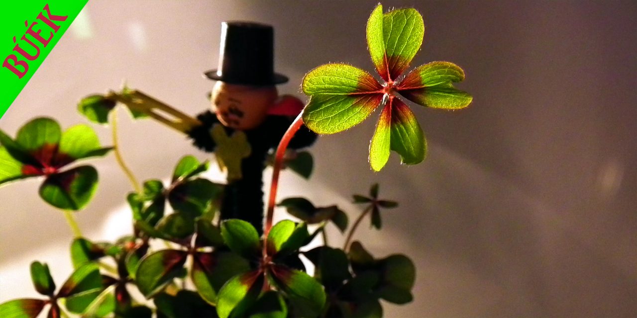 Boldog új esztendőt!