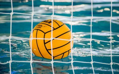 Vajdasági származású személy lett a magyar válogatott csapatmenedzsere (videó)