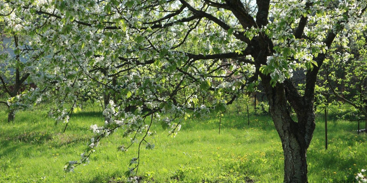 <span class="entry-title-primary">utólag</span> <span class="entry-subtitle">Bartha György verse</span>