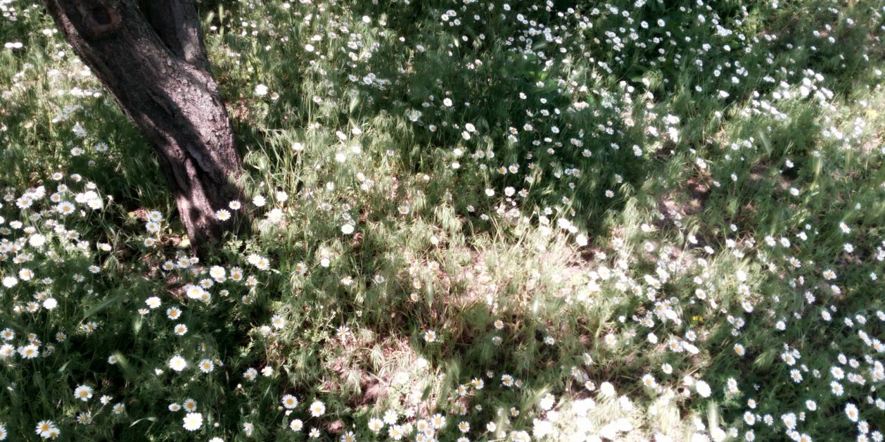 <span class="entry-title-primary">tetten ért magad</span> <span class="entry-subtitle">Bátai Tibor verse</span>