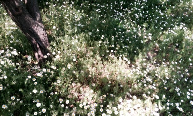 <span class="entry-title-primary">tetten ért magad</span> <span class="entry-subtitle">Bátai Tibor verse</span>