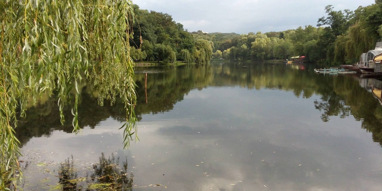 <span class="entry-title-primary">Haiku</span> <span class="entry-subtitle">Sólyom Balázs verse</span>