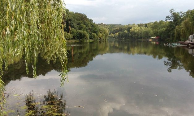 <span class="entry-title-primary">Haiku</span> <span class="entry-subtitle">Sólyom Balázs verse</span>