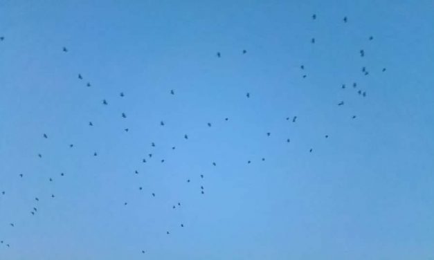 <span class="entry-title-primary">Magamról</span> <span class="entry-subtitle">Babits Mihály verse</span>