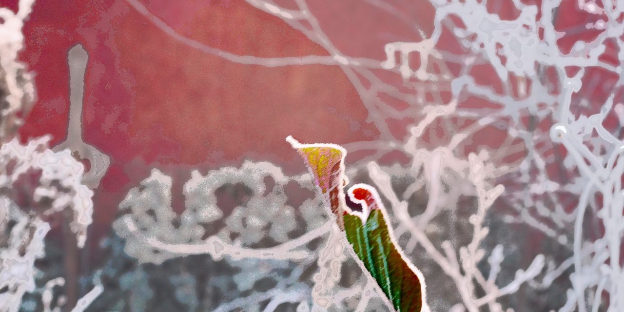 <span class="entry-title-primary">Jégen</span> <span class="entry-subtitle">Fodor Ákos verse</span>