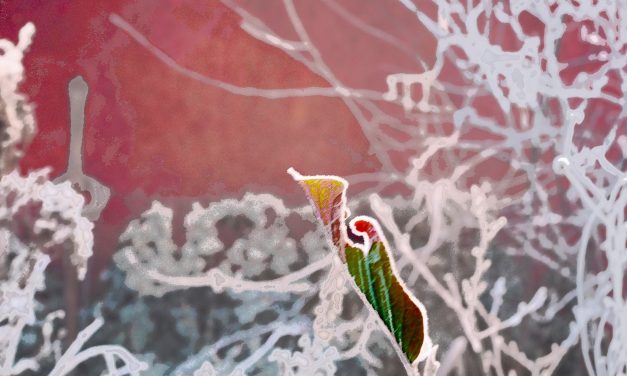 <span class="entry-title-primary">Jégen</span> <span class="entry-subtitle">Fodor Ákos verse</span>