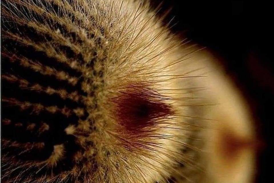 <span class="entry-title-primary">leárnyékolva</span> <span class="entry-subtitle">Bátai Tibor verse</span>